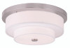 Meridian 4 Light Brushed Nickel Ceiling Mount (50865-91)
