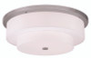Meridian 5 Light Brushed Nickel Ceiling Mount (50867-91)