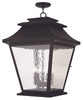 Hathaway 5 Light Bronze Outdoor Pendant Lantern (20247-07)