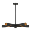 Novato 5 Light Black Chandelier (45895-04)
