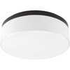 Maier Collection 14" LED Flush Mount (P350077-020-30)