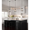 Judson Collection One-Light Antique Bronze Clear Glass Farmhouse Pendant Light (P500061-020)