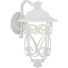 Leawood Collection LED One-Light Medium Wall Lantern (P560105-030-30)