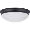 One-Light 15" LED Flush Mount (P350131-020-30)