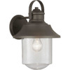 Weldon Collection One-Light Large Wall Lantern (P560121-129)