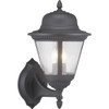 Westport Collection Two-Light Medium Wall Lantern (P560135-031)