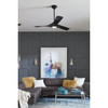 Ryne Collection 52" 3-Blade Matte Black LED Transitional Indoor/Outdoor DC Ceiling Fan (P250060-031-30)