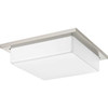 2-Lt. Led Flush Mount W/Ac Led Module (14") (P3417-0930K9)