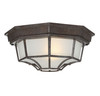 Exterior Collections 1-Light Outdoor Ceiling Light in Rustic Bronze (5-2067-72)