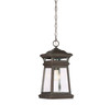 Taylor 1-Light Outdoor Hanging Lantern in English Bronze with Gold (5-243-213)