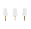 Cameron 3-Light Bathroom Vanity Light in Warm Brass (8-2542-3-322)