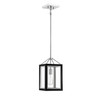 Carlton 1-Light Pendant in Matte Bk with Polished Nickel Accents (3-8880-1-173)
