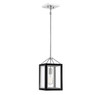 Carlton 1-Light Pendant in Matte Bk with Polished Nickel Accents (3-8880-1-173)