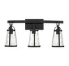 Albany 3-Light Bathroom Vanity Light in Black (8-560-3-BK)