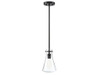 1-Light Pendant in Matte Black (M70063MBK)