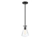 1-Light Pendant in Matte Black (M70063MBK)