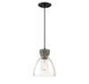 1-Light Pendant in Matte Black (M70086MBK)