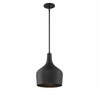 1-Light Pendant in Matte Black (M70020MBK)