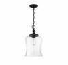 1-Light Pendant in Matte Black (M70019MBK)
