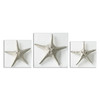 Silver Starfish Wall Art, S/3 (01129)