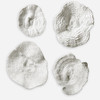 Uttermost Sea Coral Wall Art Set of 4 (20170)