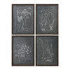 Root Study Print Art S/4 (32537)