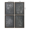 Root Study Print Art S/4 (32537)