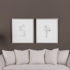 Botanical Sketches Framed Prints S/2 (33649)