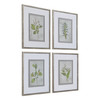 Stem Study Framed Prints Set/4 (33690)