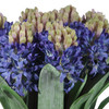Etta Hyacinth Bouquet (Uttermost)