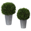 Cypress Globes, S/2 (60176)