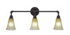 Vintage 3 Light Bath Bar In Dark Granite (183-DG-720)