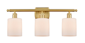 Cobbleskill 3 Light Bath Vanity Light In Satin Gold (516-3W-Sg-G111)