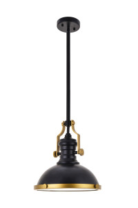Eamon 1 Light Matte Black Pendant (LD5001D13BRB)