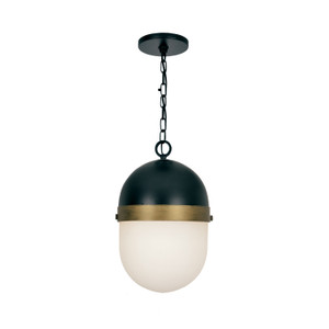 Brian Patrick Flynn Outdoor 1 Light Black & Gold Pendant (CAP-8505-MK-TG) Brian Patrick Flynn Outdoor 1 Light Black & Gold Pendant (CAP-8505-MK-TG)
