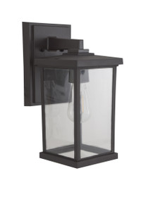 Resilience 1 Light Medium Outdoor Wall Lantern in Bronze, Clear Lens (ZA2414-BZ-C)