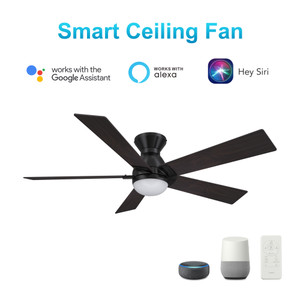 Ascender 52" Smart Ceiling Fan with Remote, Light Kit Included, Works with Google Assistant, Amazon Alexa, and Siri Shortcuts. (VS525J1-L21-BG-1-FM)