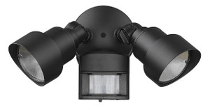 2-Light Matte Black Integrated LED Adjustable Head Floodlight (LFL2BKM)