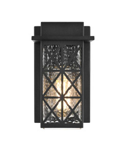 Wildey 9 Inch Outdoor Wall Sconce In Black (OD361W9BK)