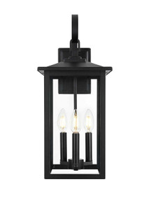 Carisle 9 Inch Outdoor Wall Sconce In Black (OD325W20BK)