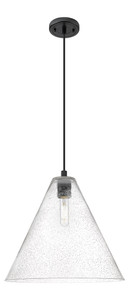 Crown Point - 1 Light - 16 inch - Matte Black - Pendant (434-1P-BK-GBC-164)
