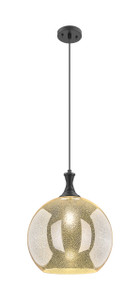 Astor - 1 Light - 14 inch - Matte Black - Cord hung - Pendant (415-1P-BK-G128-14)