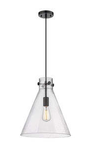 Newton Cone - 1 Light - 14 inch - Matte Black - Cord hung - Pendant (410-1PL-BK-G411-14SDY)
