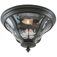 Frances 2 Light Outdoor Flushmount in Oiled Bronze Outdoor (Z6017-OBO)