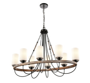 Paladin - 8 Light - 39 inch - Matte Black - Chain Hung - Chandelier (442-8CR-BK-G4421-LED)