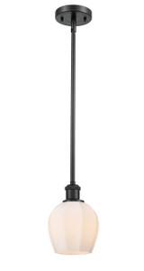 Norfolk - 1 Light - 6 inch - Matte Black - Mini Pendant (516-1S-BK-G461-6)