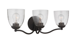 Hillridge 3 Light Vanity Light in Espresso (19923ESP3)