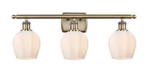 Norfolk - 3 Light - 26 inch - Antique Brass - Bath Vanity Light (516-3W-AB-G461-6)
