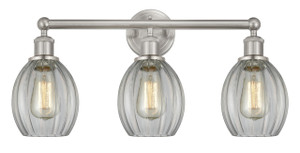 Eaton - 3 Light - 24 inch - Brushed Satin Nickel - Bath Vanity Light (616-3W-SN-G82)