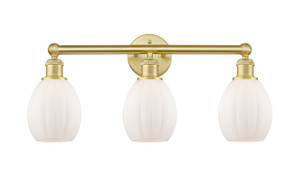 Eaton - 3 Light - 24 inch - Satin Gold - Bath Vanity Light (616-3W-SG-G81)